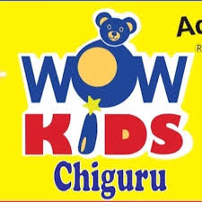 WOW KIDS Chiguru preschool Gottigere