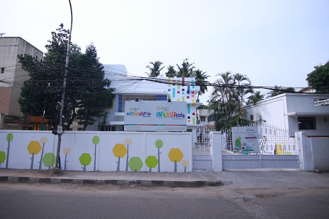 Firstcry Intellitots Preschool