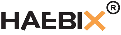 Haebix Premium Preschool & Daycare at Doddakannelli