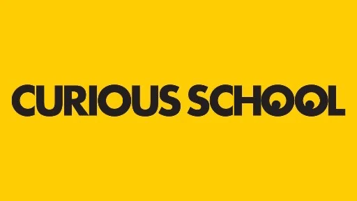 Curious School