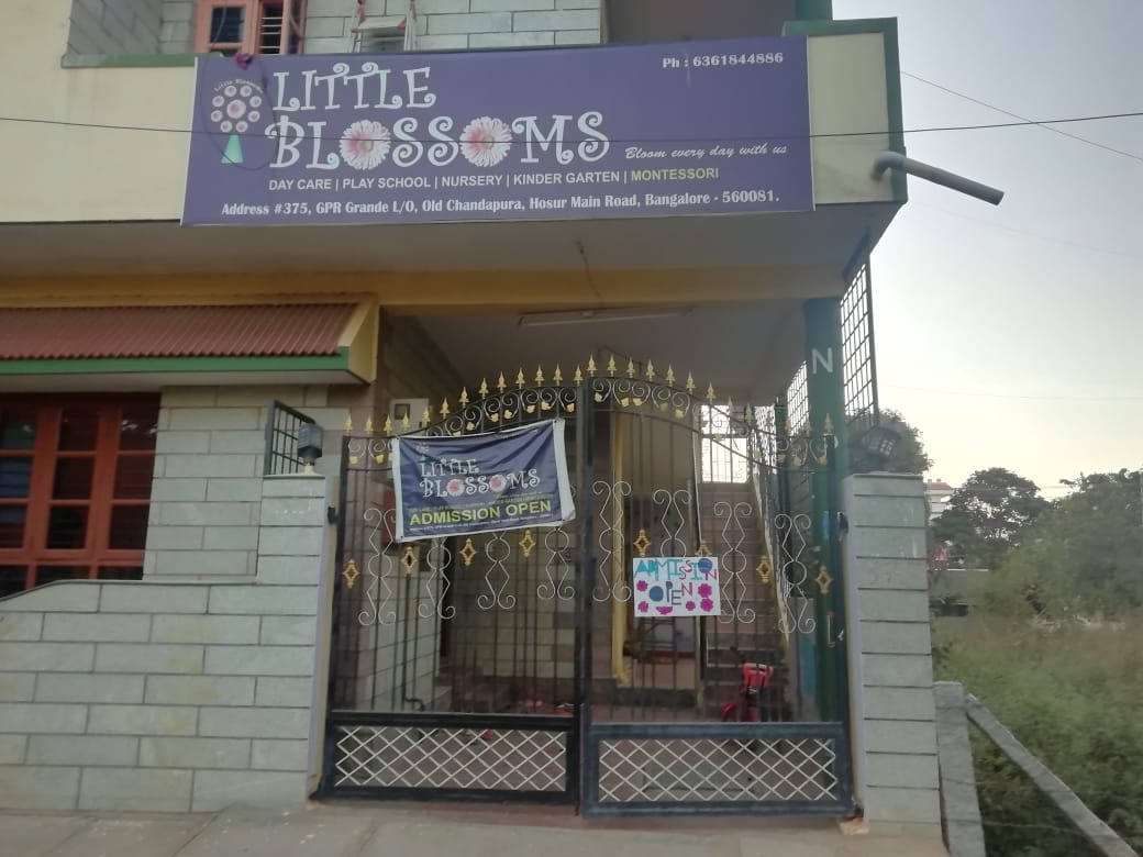 Little Blossoms Pre School and Day Care