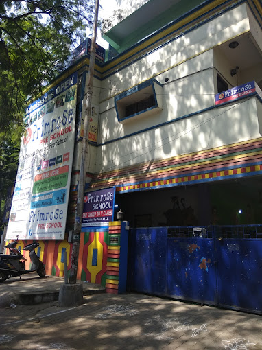 Primrose Play School