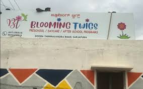 Blooming Twigs Preschool in collaboration with Twig2tree Akademia