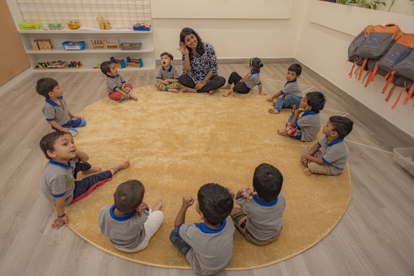 Mindseed Preschool Daycare