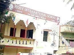 Rosy International School