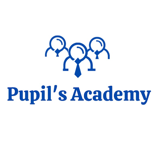 Pupils Academy  Tuition  Coaching Classes