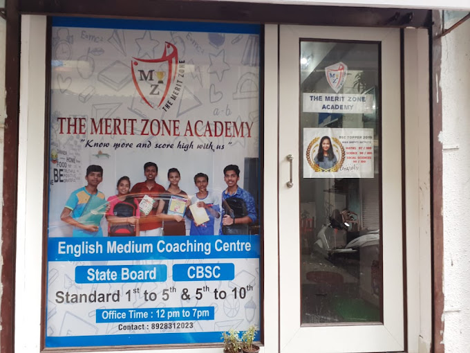 The Merit Zone Academy